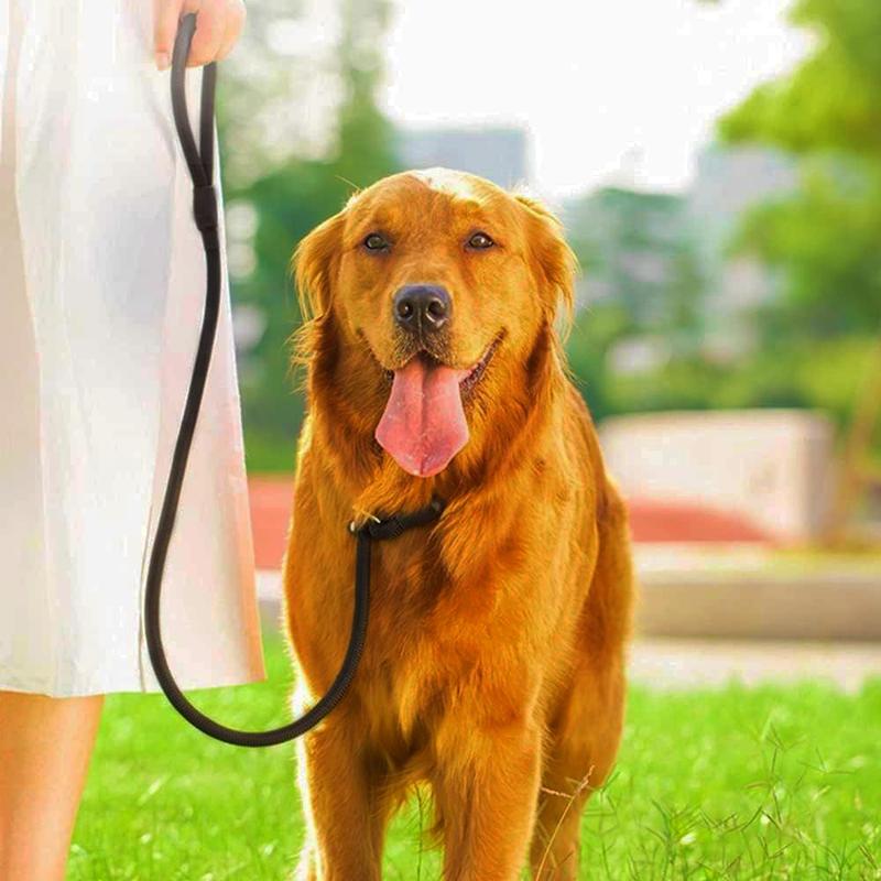 Nylon Dog Leash, Pet Lead With Buckle, Adjustable Pet Walking Leash for Dogs & Cats 7
