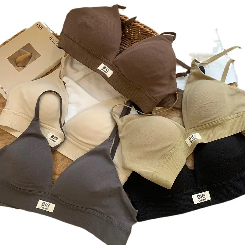 French 2024 New Triangle Cup Bra Ladies Bra Big and Small Not Empty Cup Popular Underwired Bra B21