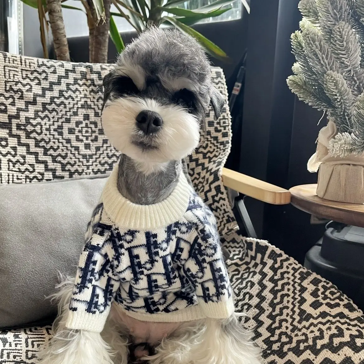 Áo len cho thú cưng, Thương hiệu Hợp Xu hướng cho mùa thu và mùa đông, Thích hợp cho Chó Nhỏ Quần áo mùa xuân và mùa thu, Teddy, Bichon, Pomeranian và mèo, Quần áo mùa đông, Thời trang, 2024