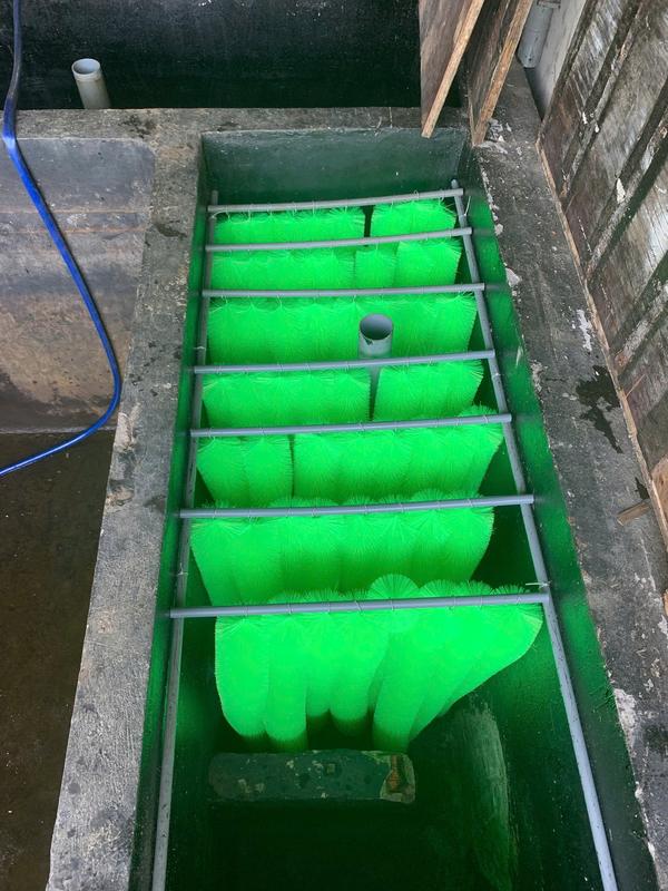 Chổi Lọc Xanh Ngăn Lắng Hồ Koi Kích Thước 40-50-60-80-100-120cm 5