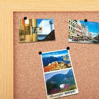 Gambar Paku payung Kenko Thumb Tacks Color 100CPP Paku payung Warna Warni Isi 100 Pcs - Warna Warni dari sovella.id. Kota Cimahi 4 Tokopedia