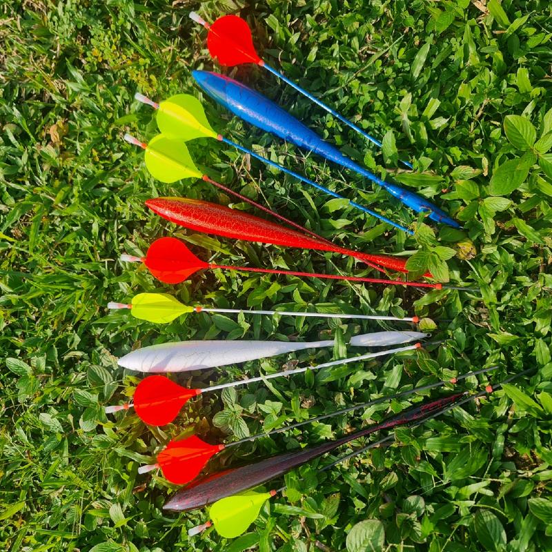 phao câu lục xa bờ Sơn Nứt 2 ngọn Đi Câu Fishing 1
