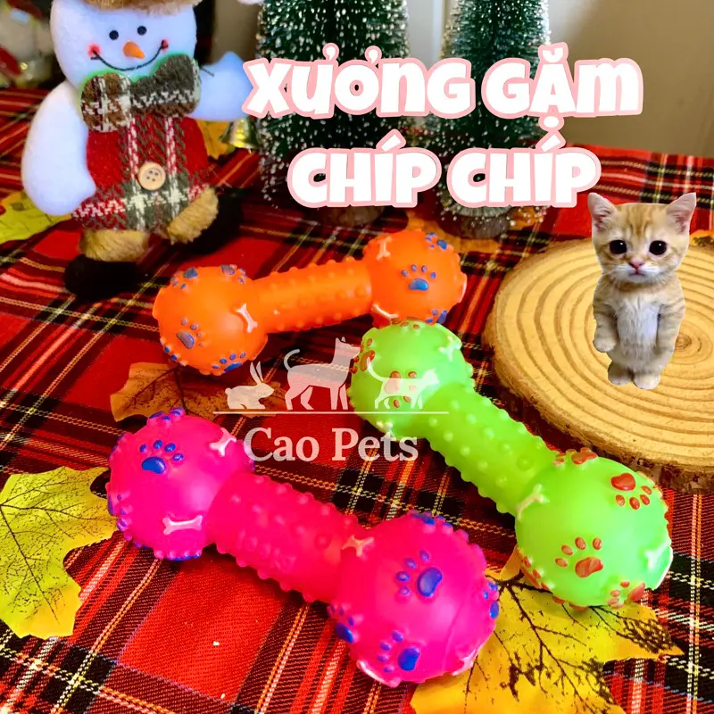Xương gặm đồ chơi cho chó mèo, xương phát ra tiếng kêu cho thú cưng - Cao Pets