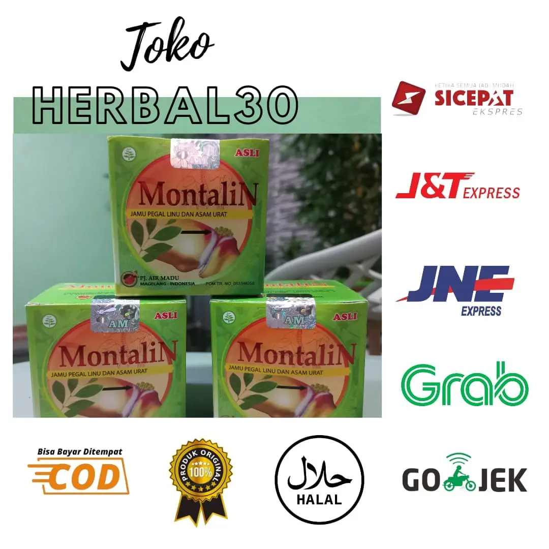 JAMU KAPSUL HERBAL MONTALIN