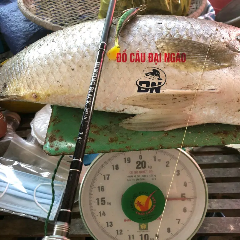 Cần câu cá lure Hungting black 2 ngọn Đại Ngáo | Độ cứng H/MH  ( Chuẩn Hãng Youmingbu ) ( tặng khoá link Leder ) Ngọn Cứng bạo lực 6