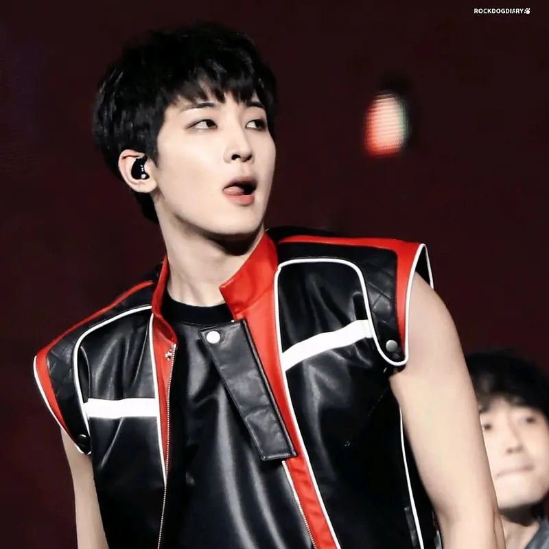 Pc Photocard official seventeen wonwoo 2
