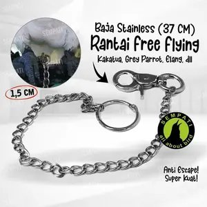 SEMPATI Rantai Ring Kaki Burung Elang Kakatua Grey Parrot Bahan Besi Free Flaying Ff Latih Training Set Burung Hantu Kaka Tua Fit