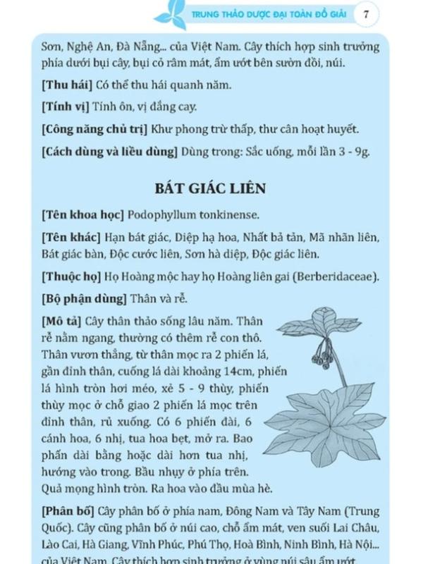 Sách - Trung thảo dược đại toàn đồ giải - Bìa mềm sách  dược 3