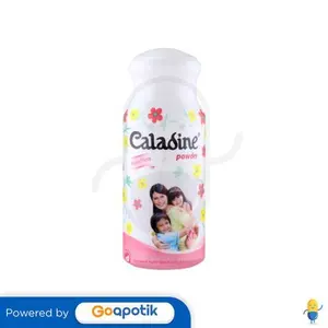 CALADINE POWDER ACTIVE FRESH BOTOL 60 GRAM