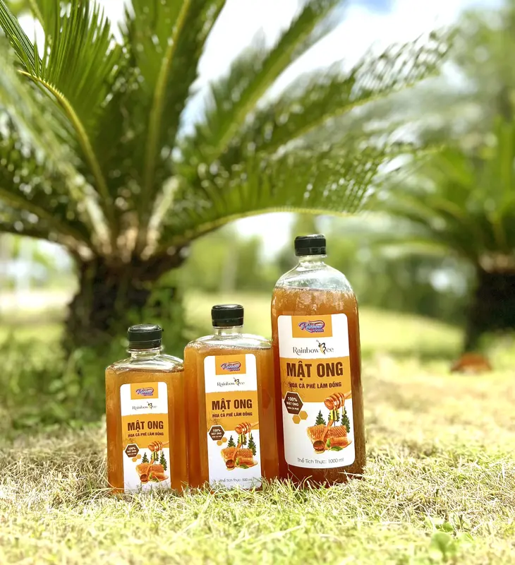 [ MUA 2 TẶNG 1 ] COMBO 2 Chai Mật Ong Hoa Cà Phê Lâm Đồng Rainbow Bee 500ml - Tặng Chai 330ml 3