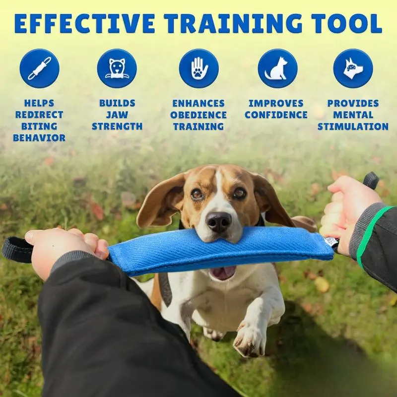 Durable Dog Tug Toy, 1 Piece Interactive Training Equipment for Puppy to Large Dogs, Pet Chew Toy, Dog & Cat Accessories 6