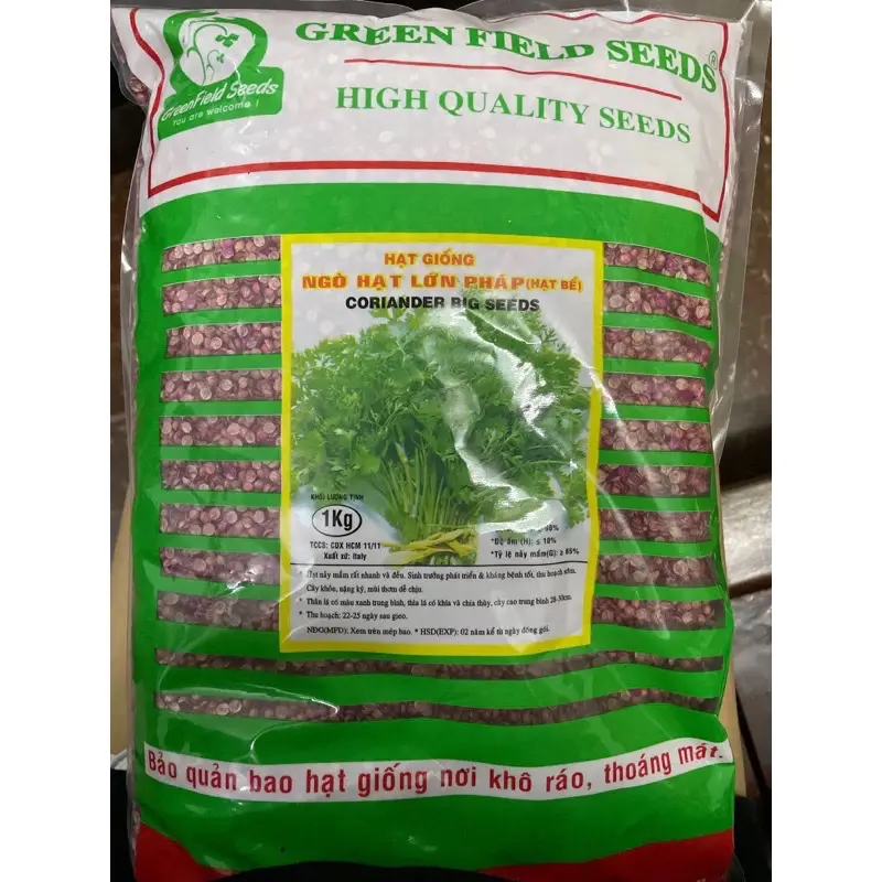 [BÁN LẺ] 10g - 100g HẠT GIỐNG RAU MÙI (NGÒ) DỄ TRỒNG, NHANH THU HOẠCH
