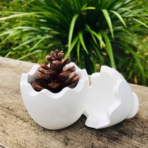 Trái thông đặt trong quả trứng dùng để lưu hương khuếch tán tinh dầu (không có mùi)