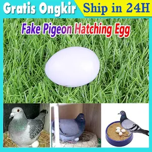 5Pcs Telur Telor Palsu Merpati Mainan Dove Artificial Fake Egg Chicken Ayam