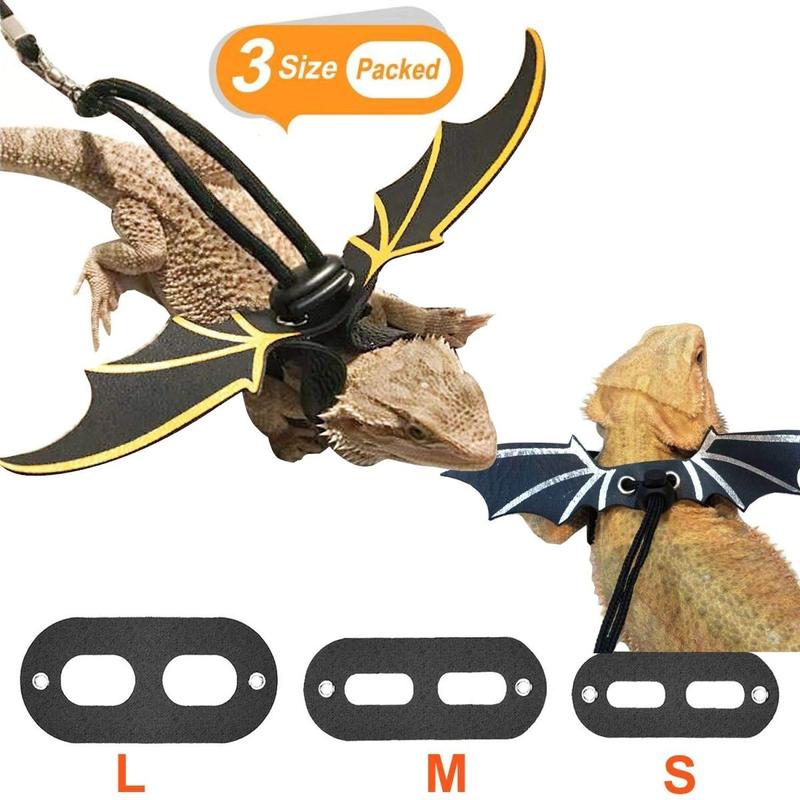 [Three-Piece Set] Little Crocodile Lizard Outdoor Costume Little Devil Leash with Wings Reptile Little Crocodile Clothes 1