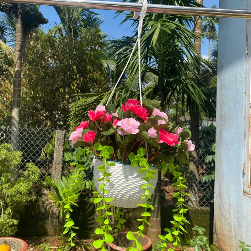 Combo chậu hoa đỗ quyên kèm chậu nhựa tròn cắm sẵn, mix lá rủ trang trí decor… Decor Phòng Trang Trí Nhà, ban công, lan can, quán cà phê, nhiều không gian xinh xắn hoặc phân khúc bình hoa đỗ quyên để bàn kèm chậu nhựa cắm sẵn cao 25-30cm 6