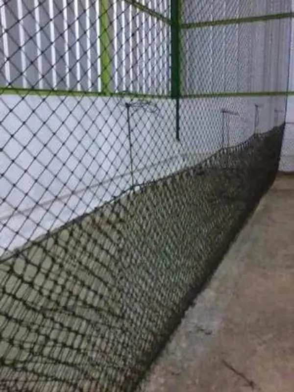 Castiel jaring ayam 2,5 meter TERMURAH pagar 1