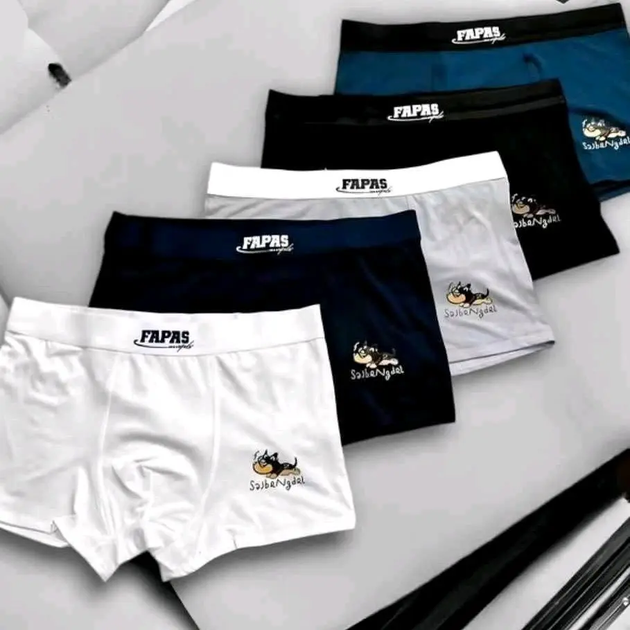Combo 5 Quần  Lót Nam Boxy fapas chó kháng khuẩn chất thun lạnh Boxer