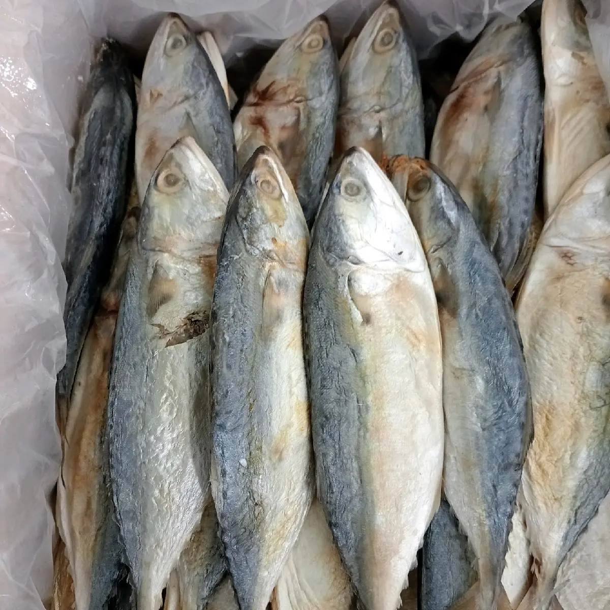 ( COD ) SERBA IKAN ASIN 500GRAM Kering Laut Food