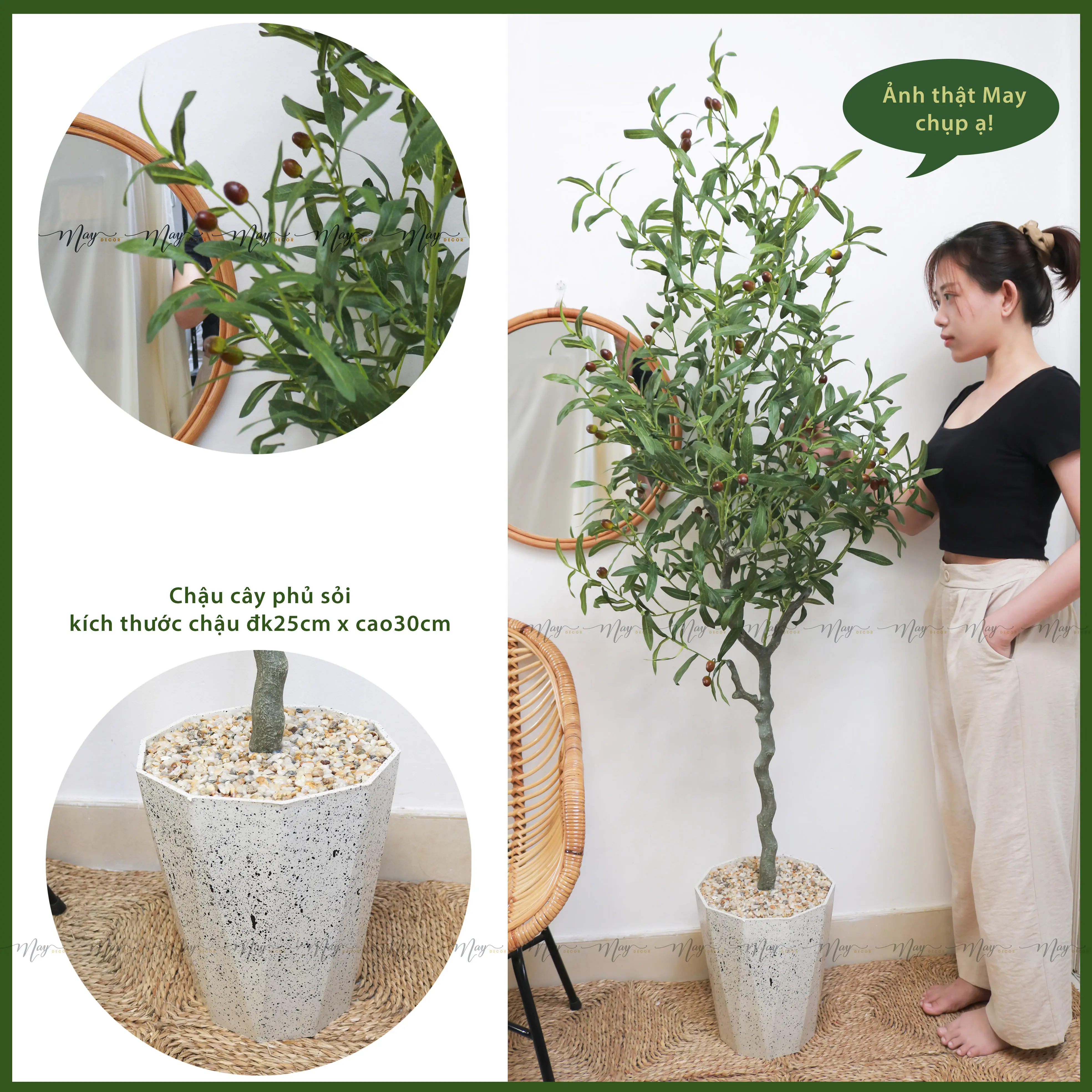 Cây nhân tạo, Cây Oliu có quả trang trí nhà cửa Decor Phòng Maydecor