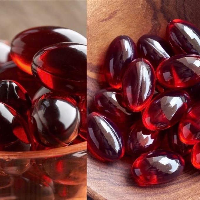 Viên uống dầu nhuyễn thể cá biển sâu nam cực Đồng nhân đường hộp 60 viên 4