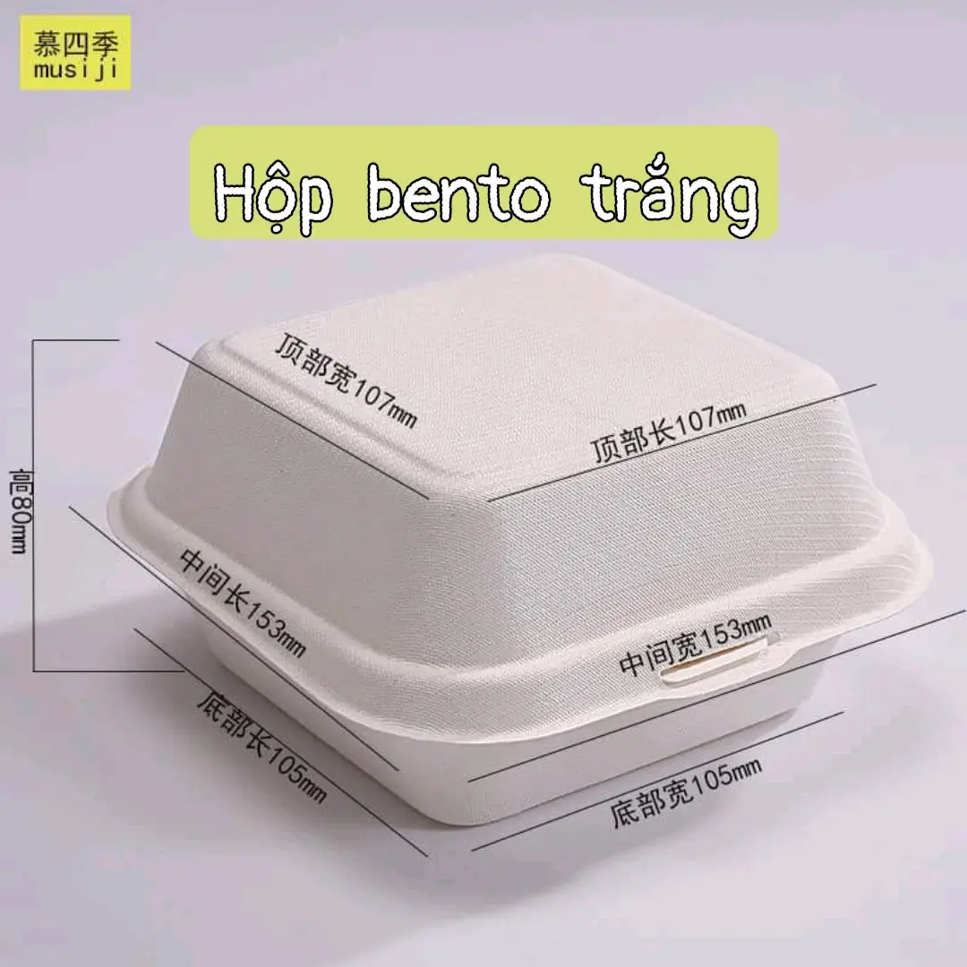 Set 50 hột bento trắng đẹp hộp dùng 1 lần