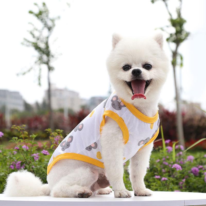 Product Introduction of Áo Vest Cho Chó, Thiết Kế Gấu Bông Teddy, Mèo, Pomeranian, Schnauzer, Chó Nhỏ, Quần Áo Thú Cưng, Thích Hợp Cho Mùa Hè, Hàng Mỏng 15