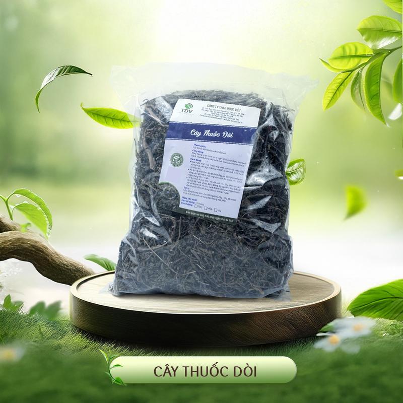 Cây Thuốc Dòi (Cây bọ mắm) Loại Tím sấy khô  Hàng công ty Thảo Dược Việt