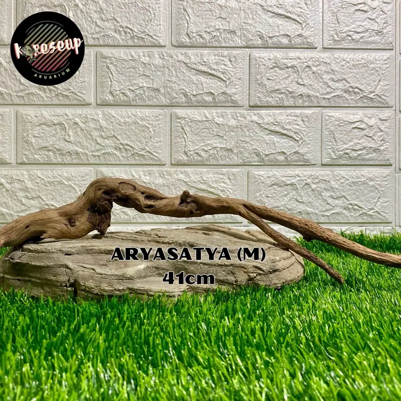 AKAR AQUASCAPE SANTIGI LAUT TENGGELAM RANDOM (size SS) untuk hiasan Aquarium 30cm 0