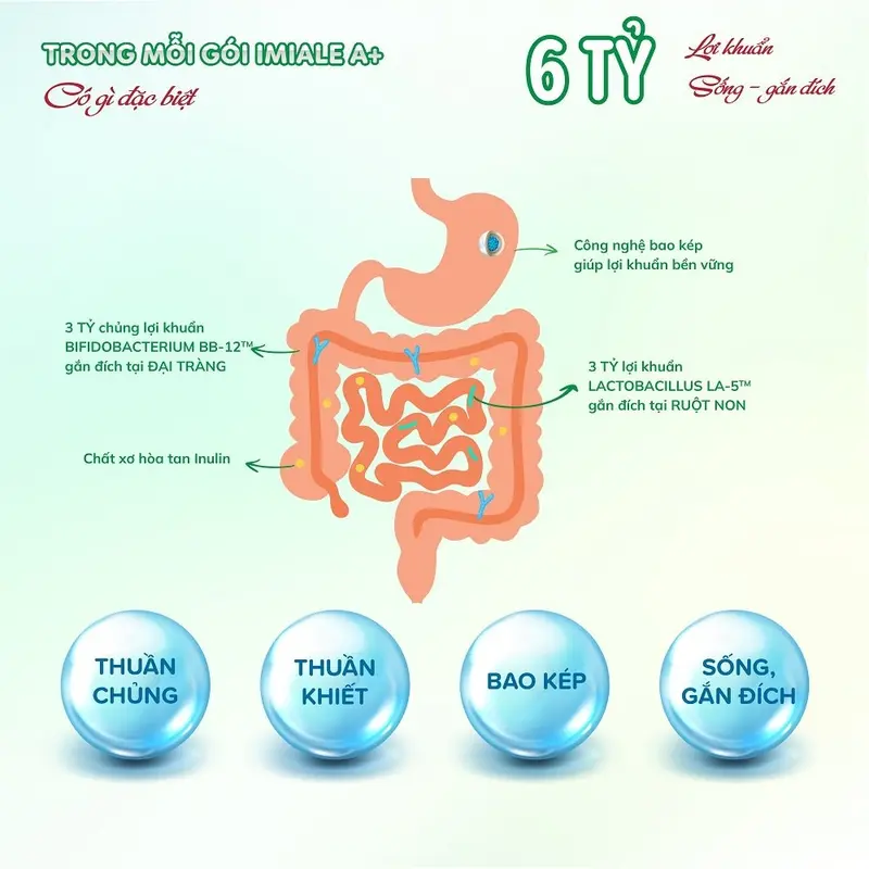 Lợi khuẩn sống đích IMIALE A+ Đan Mạch,  dạng gói hỗ trợ tiêu hóa, đại tràng, táo bón, tiêu chảy 6g/ gói 5