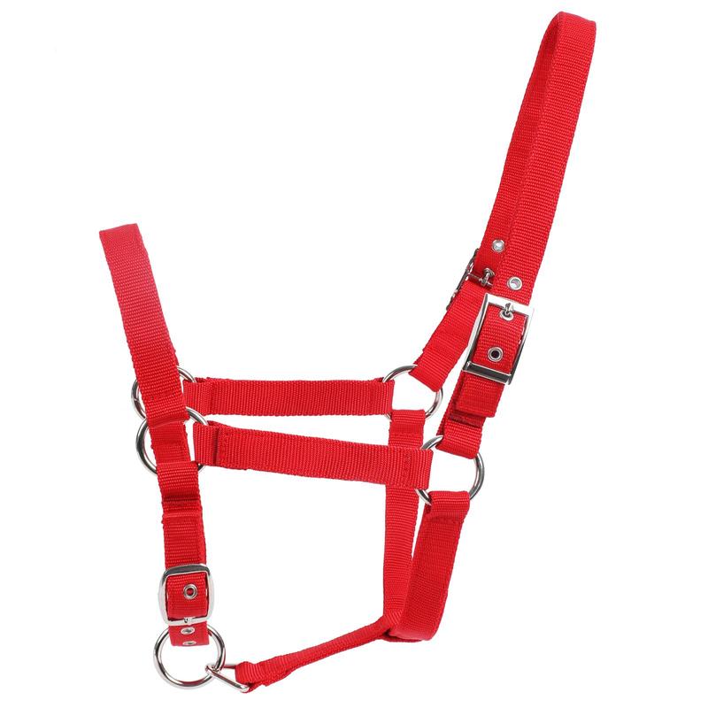 Product Introduction of Adjustable Horse Halter, Soft Comfortable Horse Head Strap, Professional Equestrian Equipment for Horse Riding, Outdoor Riding Accessories 4