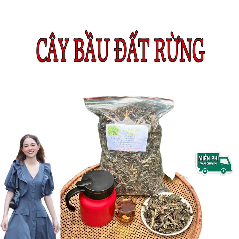 Trà điều kinh ,trà bầu đất khô sạch tự nhiên Trà chè dưỡng nhan