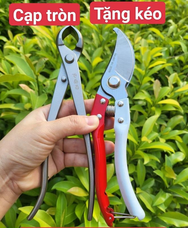 (FREESHIP) Combo kìm cạp Cạp tròn, cạp xéo cắt tỉa cây cảnh bonsai