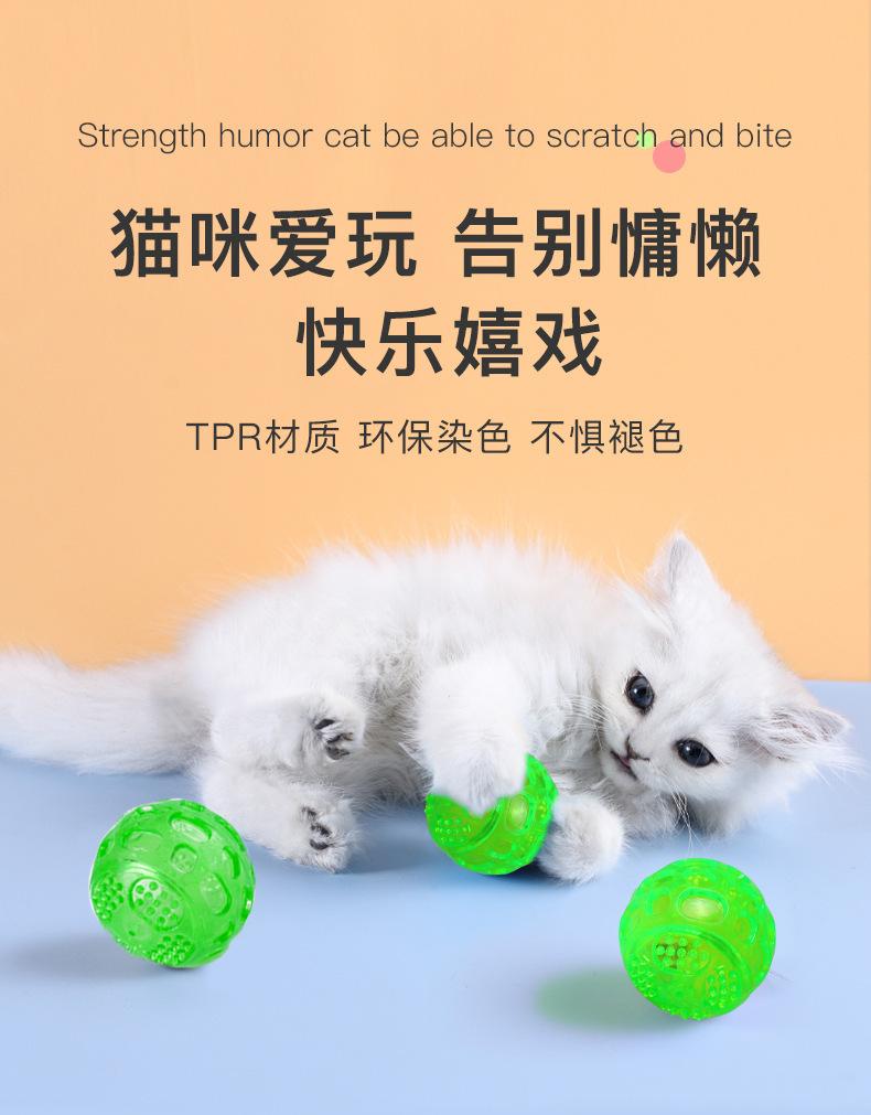 Product Introduction of Best-Selling in Stock Pet Toy Pet TPR Ball Sounding Toy Cat Dog Supplies Molar Dog Toy 2