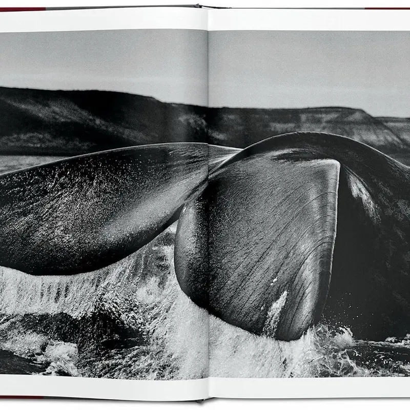 Sách Artbook Genesis, by Sebastião Salgado, bìa cứng, sách trưng bày, sách nghệ thuật, size lớn XL 27 x 36 x 5 cm Tranh 3