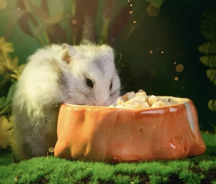 nhà sứ hình quả óc chó, đậu phộng, hạch đào , gốc cây, dừa cho hamster và sóc - T3 PETS SHOP 5