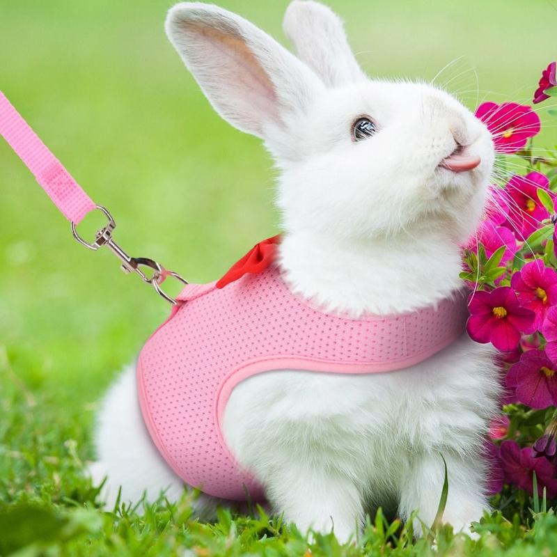 2pcs Pet Accessories Soft Rabbit Harness and Leash Set Mesh Portable ...