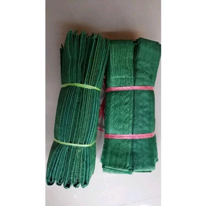 sabuk pagar nusa kecil sabuk siswa sabuk hijau polos sabuk pencak silat sabuk pagar nusa psht hijau polos perlengkapan silat 5