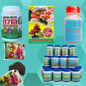 VT Chăm Hoa Và Cây Cảnh