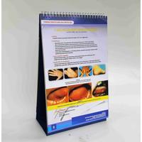 Gambar Buku Lembar Balik Panduan DRG, Buku Panduan Praktk dari Sahabat Sejasa Kab. Sleman 4 Tokopedia