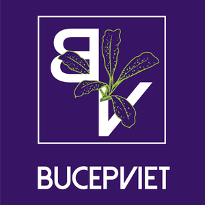 Bucep Viet
