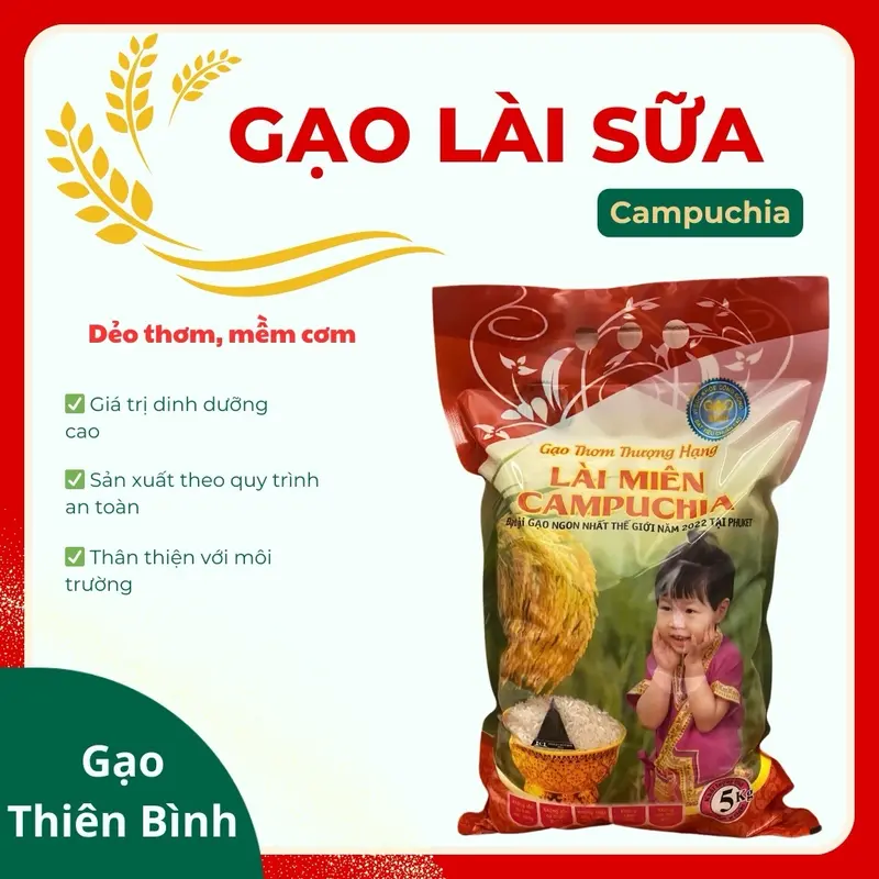GẠO LÀI SỮA CAMPUCHIA mùa mới - DẺO THƠM, NGỌT CƠM (TÚI 5KG) 0