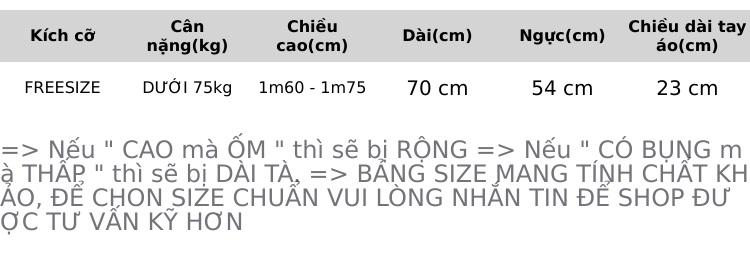 Product Introduction of áo thun Cổ Tròn Shirt Unisex Cotton form FREESIZE " AC THÊU " - D.A.M Clothing 0