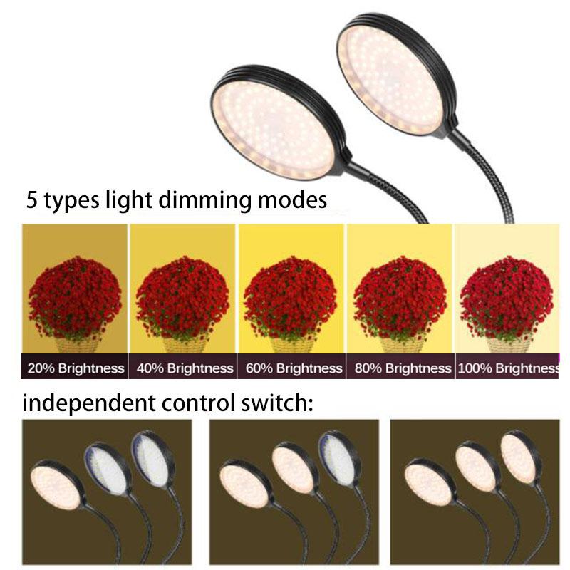 Product Introduction of DC 5V USB Timer LED Grow Light Plant Flower Growing Desktop Clip Phyto Lamps Light Indoor Greenhouse F2SG 127