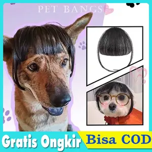 Wig Hewan Anjing Kucing - Pet Wigs Cosplay Hewan Anjing Kucing - Rambut Palsu Hewan Anabul Cosplay, Wig Anjing Kucing Nyaman Bernapas Aksesoris Foto Lucu Unik
