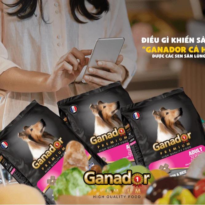[ Combo 5 gói ] Thức ăn Ganador cho chó con, chó trưởng thành bịch 400g 8
