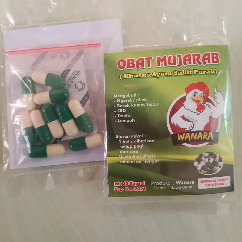 OBAT MUJARAB SEMUA SAKIT 1