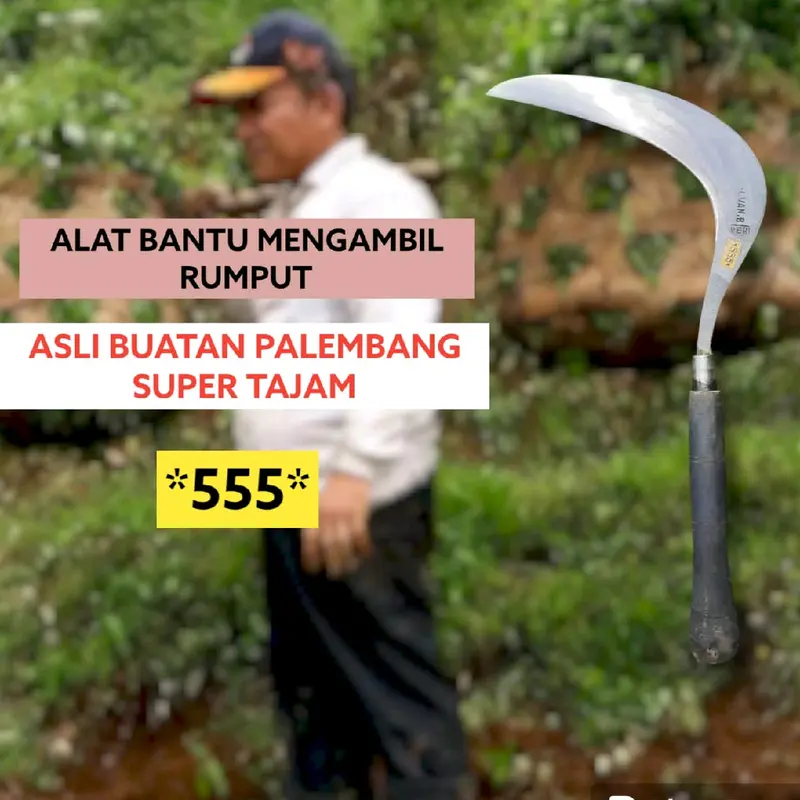 (COD)  ARIT POTONG RUMPUT *555* 0