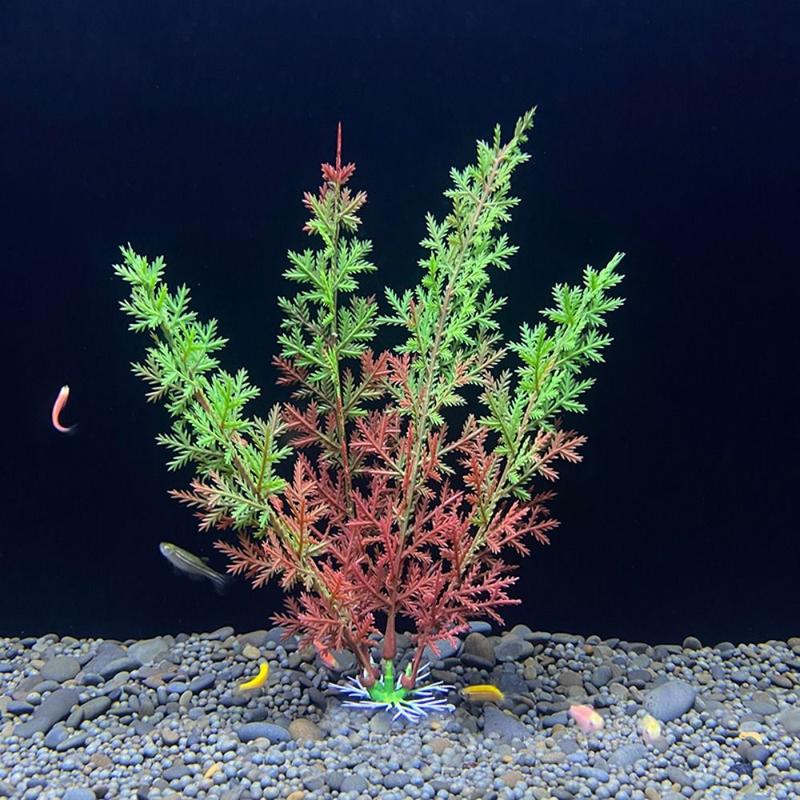 Product Introduction of Aquarium Ornament 18cm Simulation Water Grass Decorative Plastic Artificial Underwater Plants Lifelike Seaweed Ornaments Aquatic Water Grass Landscaping Decoration 10