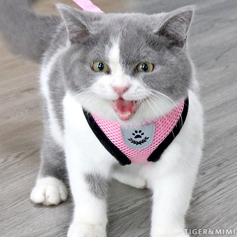Tiger & Mimi Pet Harness Tali Kucing Berjalan Murah Lead Cat Dog Rope Adjustable Tali Kucing Panjang 3